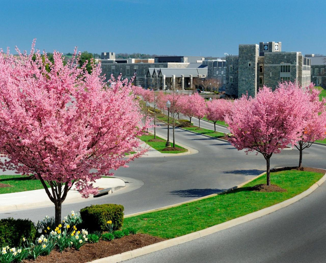 The Inn At Virginia Tech - On Campus Blacksburg Exterior foto